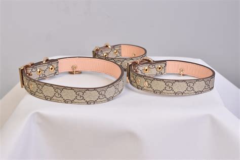 collier pour chien gucci|gucci collars for cats.